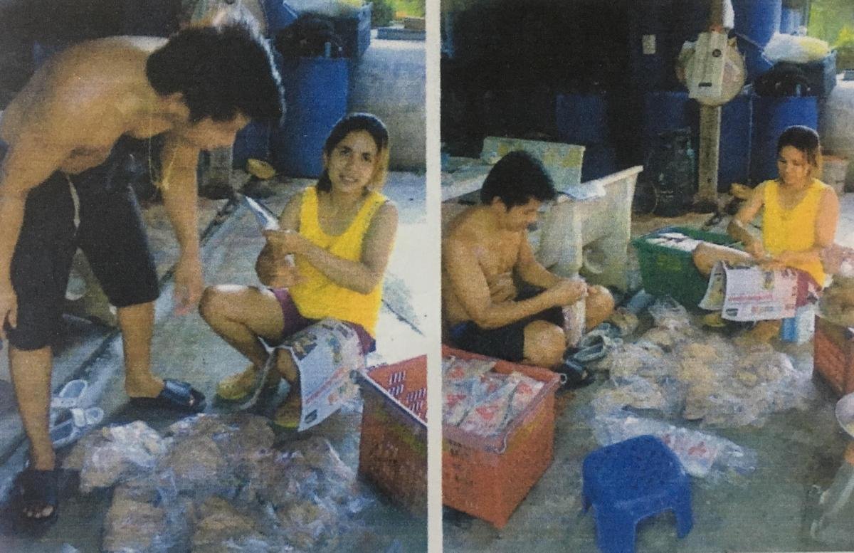 ปลาบูดู · การแปรรูปสินค้าภูมิปัญญาท้องถิ่น